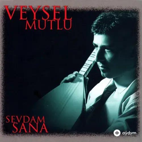 Veysel Mutlu - Yine Akşam Çöktü
