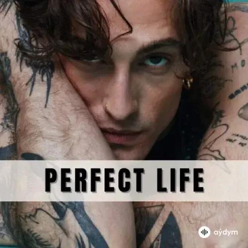 Damiano David  - Perfect Life