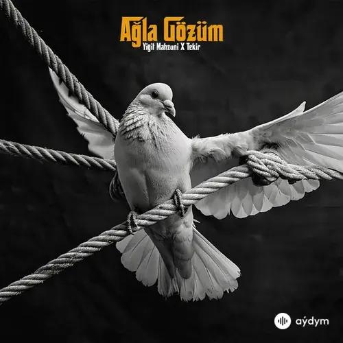Yigit Çan-Tekir - Ağla Gözüm