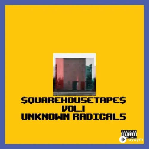 Unknown Radicals  - STFU