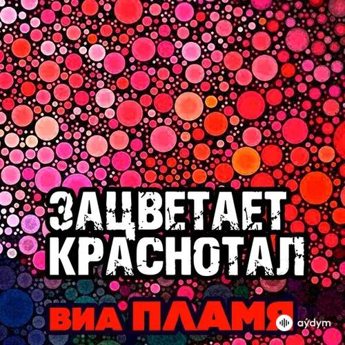 ВИА Пламя  - Не надо печалиться