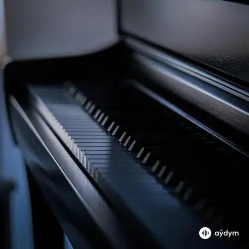 Gibran  Alcocer - Solas