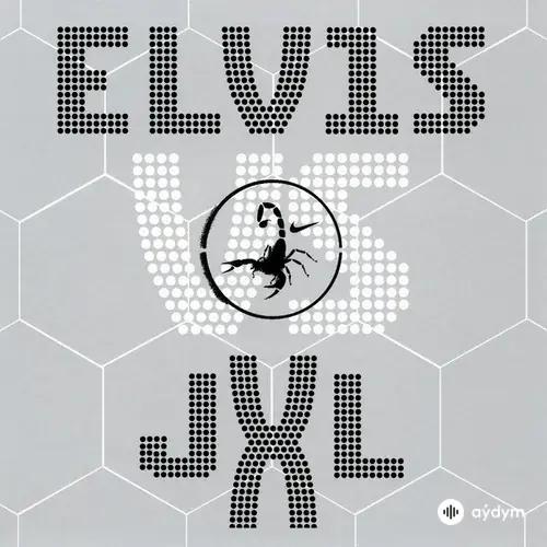 Elvis Presley-Tom Holkenborg - A Little Less Conversation - JXL Radio Edit Remix