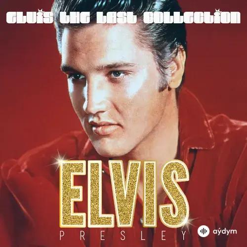 Elvis Presley - Doin' the Best I Can
