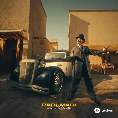 DJ Piligrim  - PARI MARI