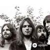 Pink  Floyd - Main Theme