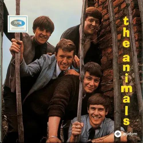 The Animals  - Boom Boom