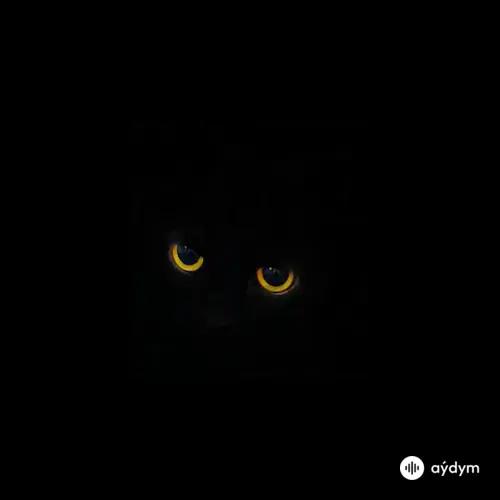 Мария  Ржевская - Когда я стану кошкой