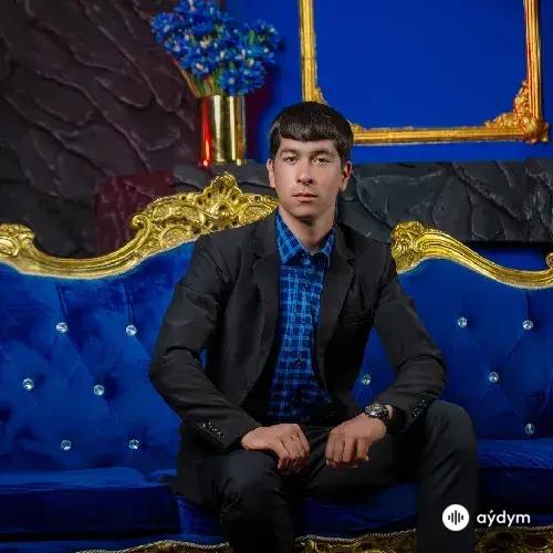 Serdar Rejebow - Gülnaram (Cover)