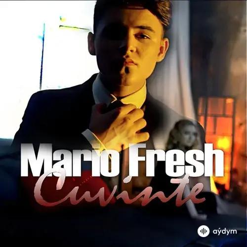 Mario Fresh - Cuvinte