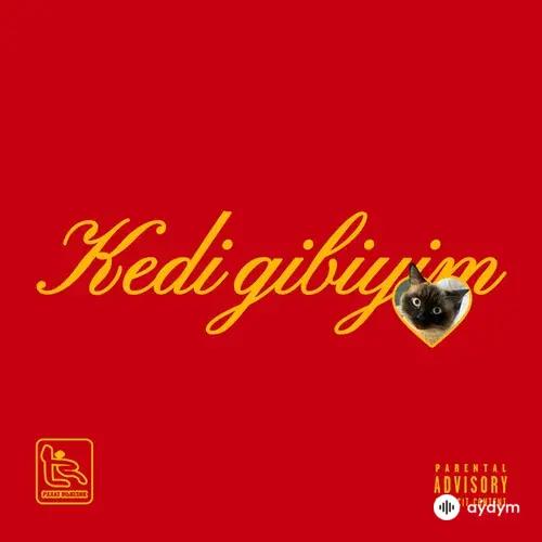 Alizade  - Kedi Gibiyim