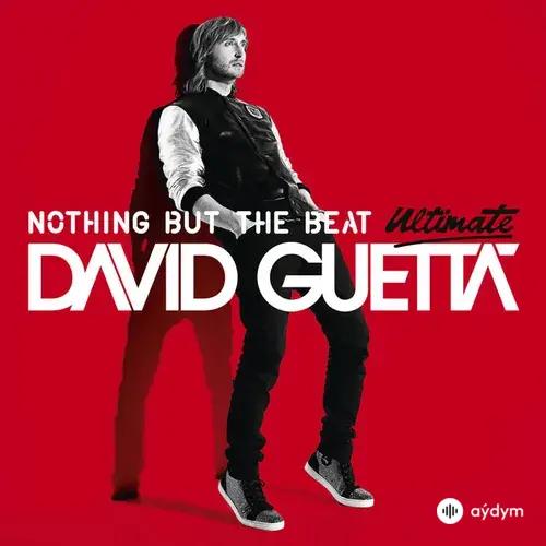 David Guetta-Ne-Yo-Akon - Play Hard