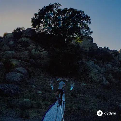 Delaney  Bailey - Lion