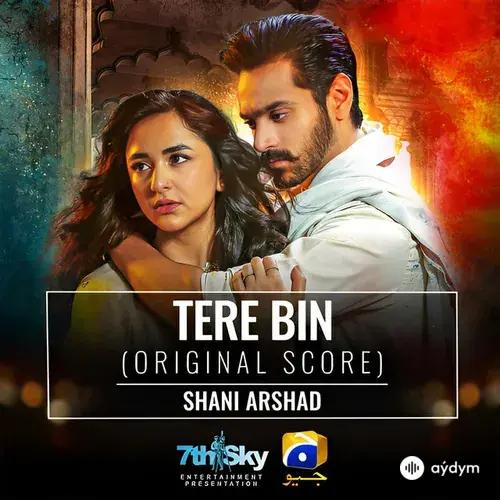 Shani  Arshad - Tere Bin - Original Score