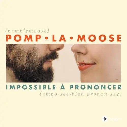Pomplamoose - Comment te dire adieu