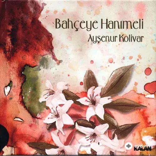 Ayşenur  Kolivar - E Asiye