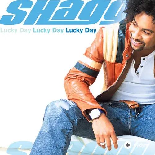 Shaggy-Sean Paul-Brian  Gold-Tony  Gold - Hey Sexy Lady (Original Sting International Mix)