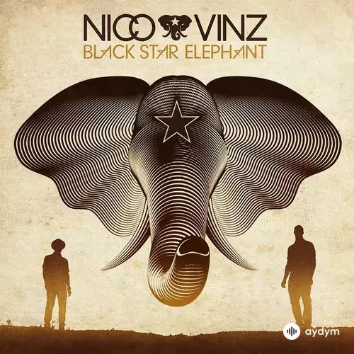 Nico & Vinz - Am I Wrong