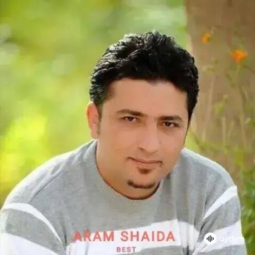 Aram  Shaida - Dig Dig Dig Maso