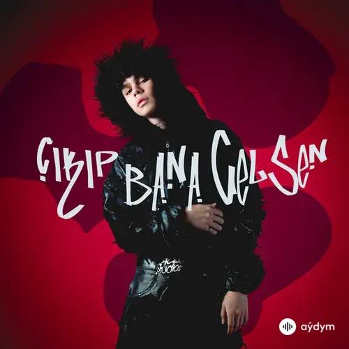 Alper Erozer - Çıkıp Bana Gelsen