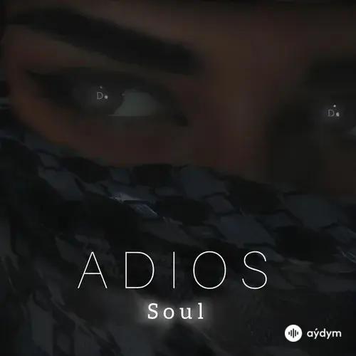 Soul  - Adios