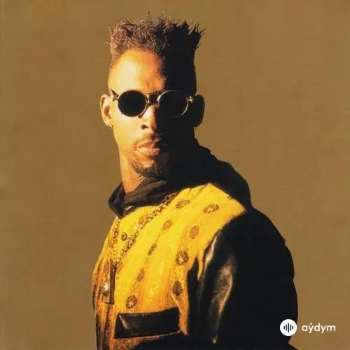 The Adventures Of Stevie V