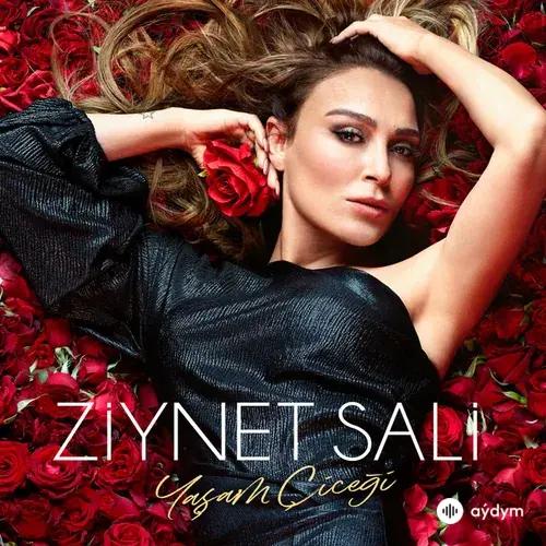 Ziynet Sali - Efkarim Var