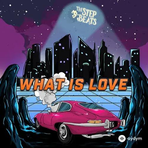The Step Beats  - What Is Love