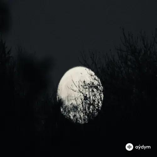 Rei 6  - Ah Canım Sevgilim - Demo