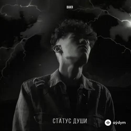 Bakr  - Статус души