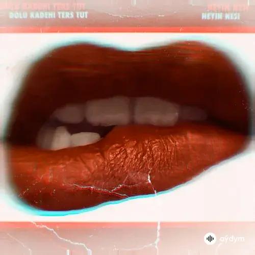 Dolu Kadehi Ters Tut - Neyin Nesi