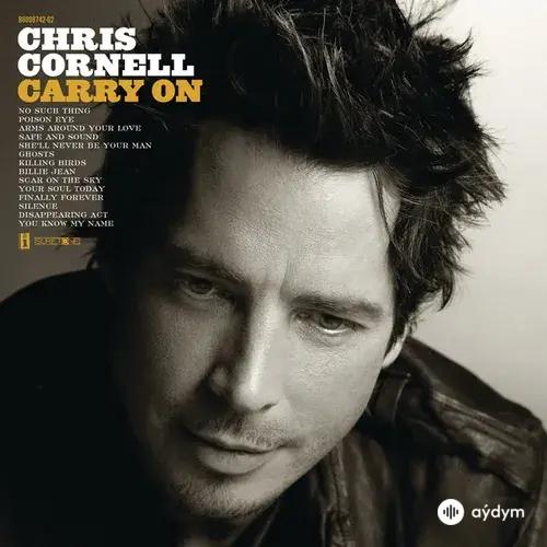 Chris  Cornell - Billie Jean
