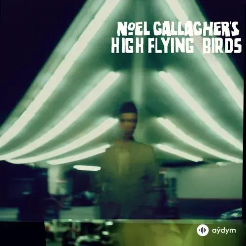 Noel  Gallagher's - If I Had A Gun…