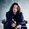 Chris  Cornell - Billie Jean