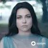 Seether -Amy  Lee - Broken
