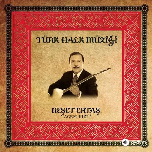 Neşet Ertaş - Neredesin Sen