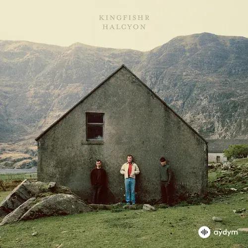 Kingfishr - 21