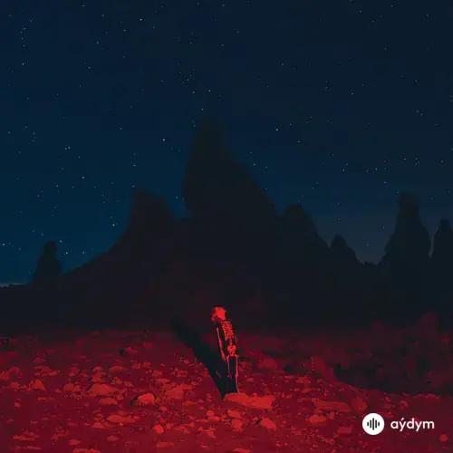 Phoebe Bridgers - Kyoto