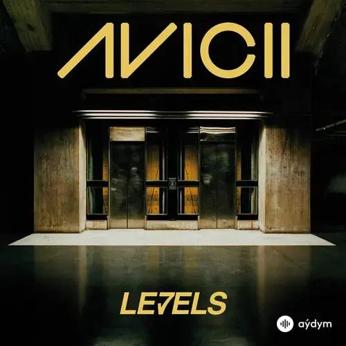 Avicii - Levels (Original Version)