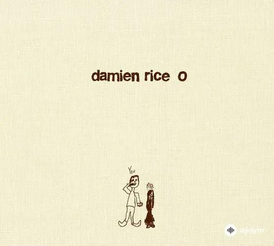 Damien Rice - The Blower's Daughter