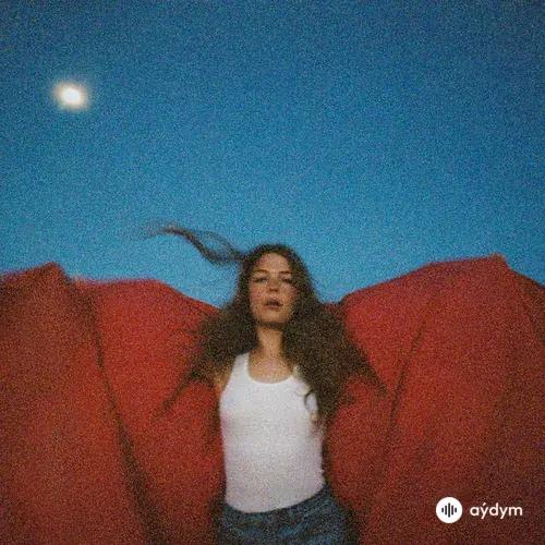 Maggie  Rogers - Fallingwater