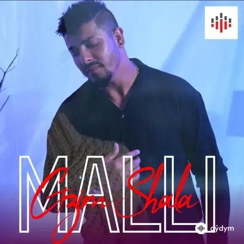 Gzim Shala - Malli