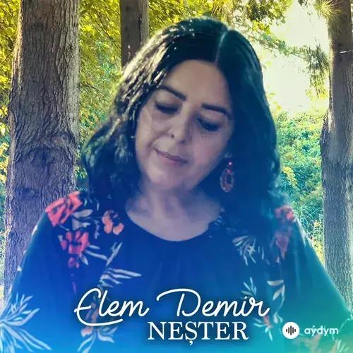 Elem Demir - Neşter