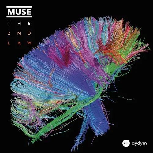 Muse - Madness