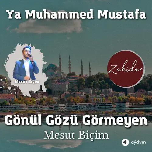 Mesut Biçim - Gönül Gözü Görmeyen - Ya Muhammed Mustafa (s.a.v)