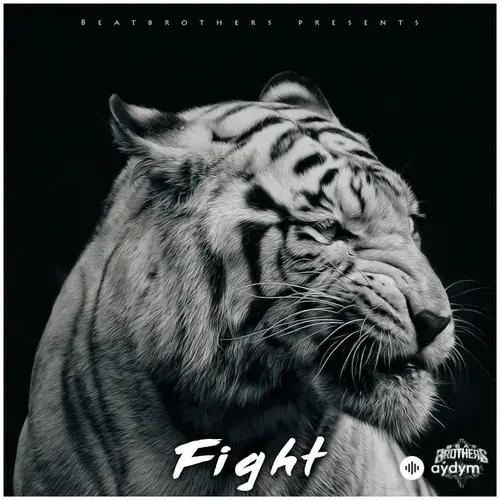 BeatBrothers  - Fight