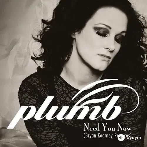 Plumb -Bryan Kearney - Need You Now (How Many Times) - Bryan Kearney Remix