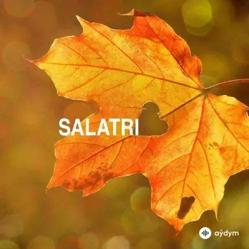 Isamotu Olalekan - Salatri