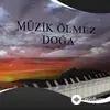 Orhan Ölmez - Kış (Piano Version)