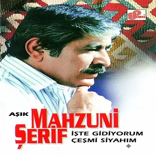 Aşık Mahzuni Şerif - Gücenme Ey Sofu Baba